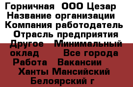 Горничная. ООО Цезар › Название организации ­ Компания-работодатель › Отрасль предприятия ­ Другое › Минимальный оклад ­ 1 - Все города Работа » Вакансии   . Ханты-Мансийский,Белоярский г.